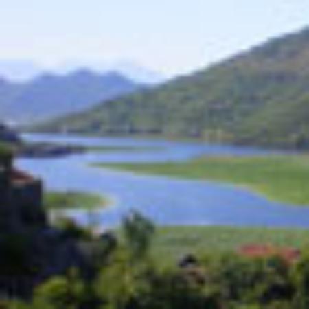 Aashirwad Restaurant and Bar